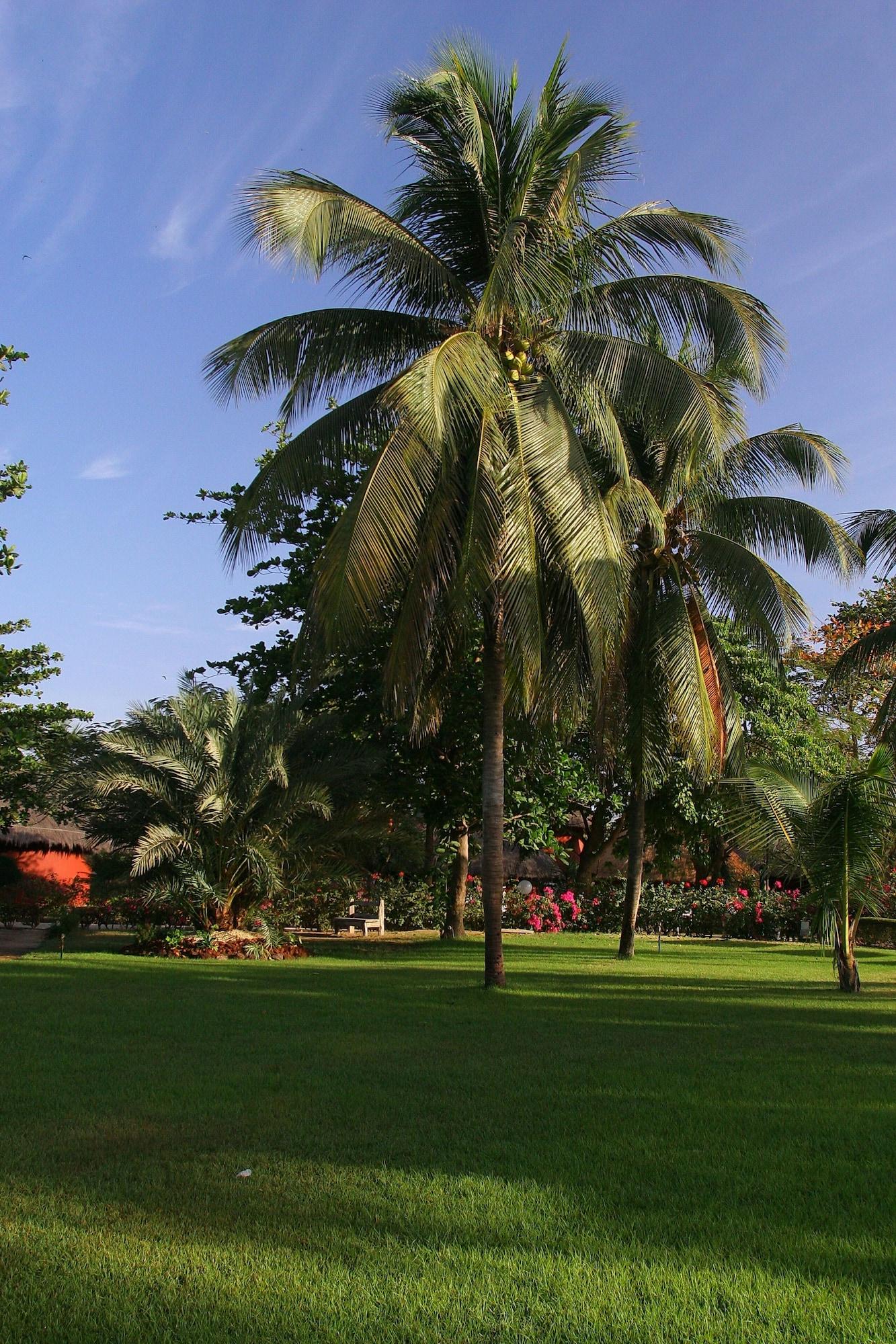 Hotel Royam Saly Portudal Ngoại thất bức ảnh