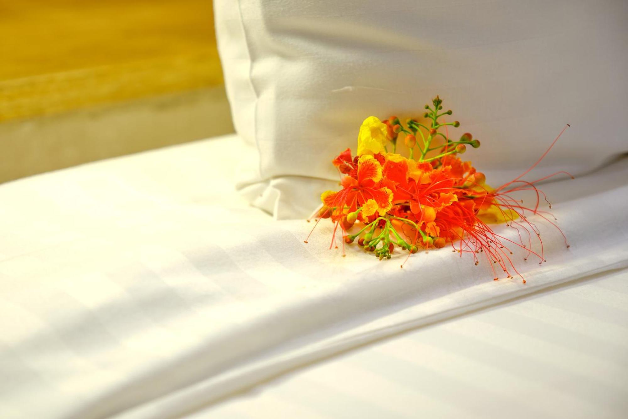 Hotel Royam Saly Portudal Ngoại thất bức ảnh